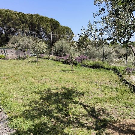 Villa Egle Belpasso, Villa Vacanza Con Piscina ภายนอก รูปภาพ