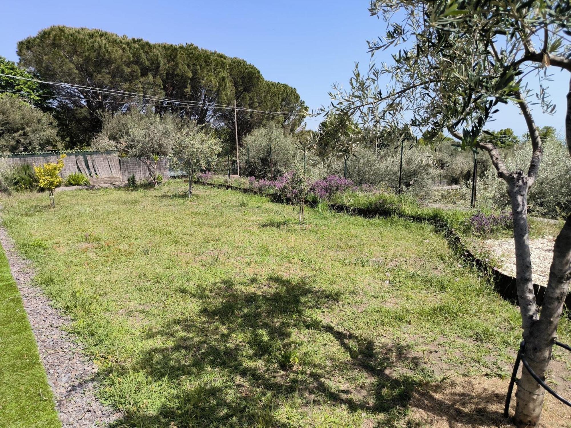 Villa Egle Belpasso, Villa Vacanza Con Piscina ภายนอก รูปภาพ