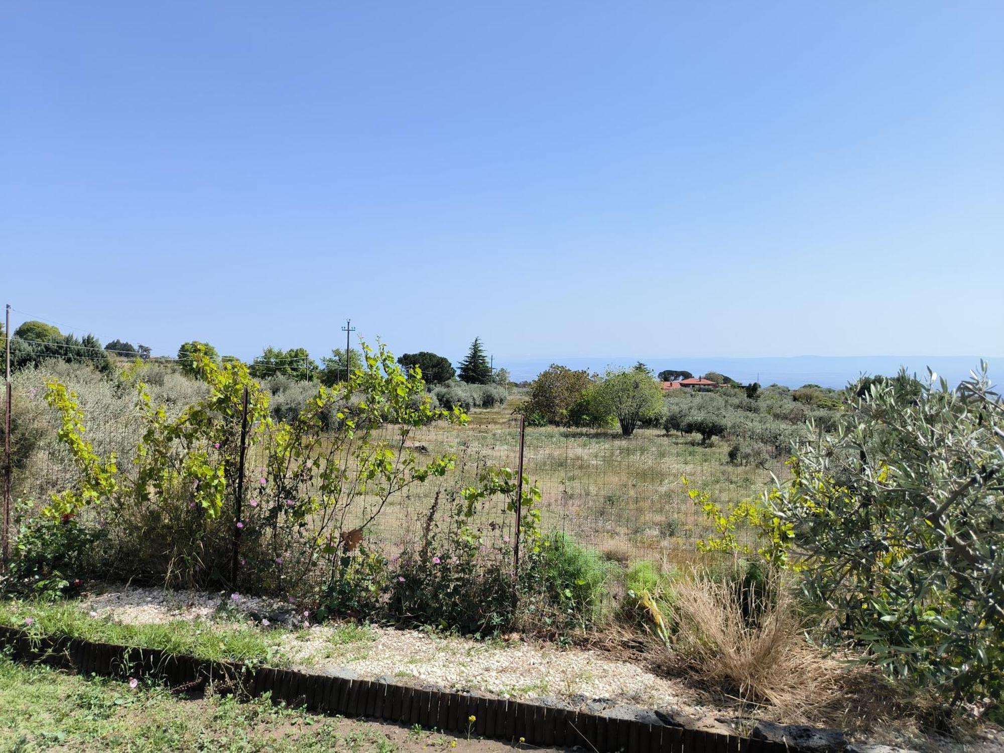 Villa Egle Belpasso, Villa Vacanza Con Piscina ภายนอก รูปภาพ
